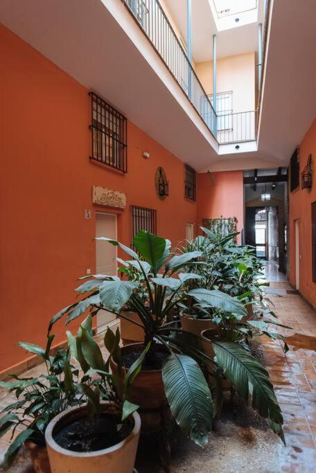 Selecta Elegante Y Centrico Apartamento Sevilla Bagian luar foto